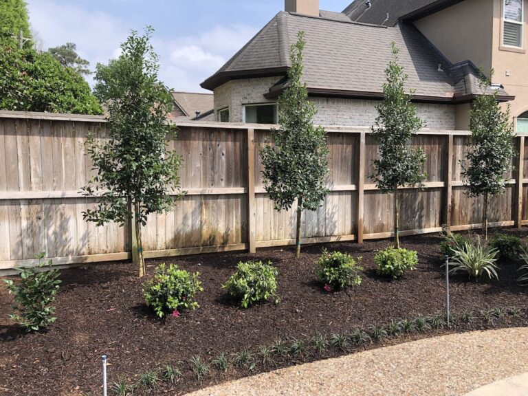 Newly planted trees and shrubs with fresh mulch in a residential yard