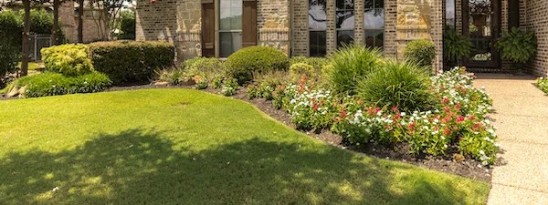 Well-maintained residential lawn with shrubs and flower beds