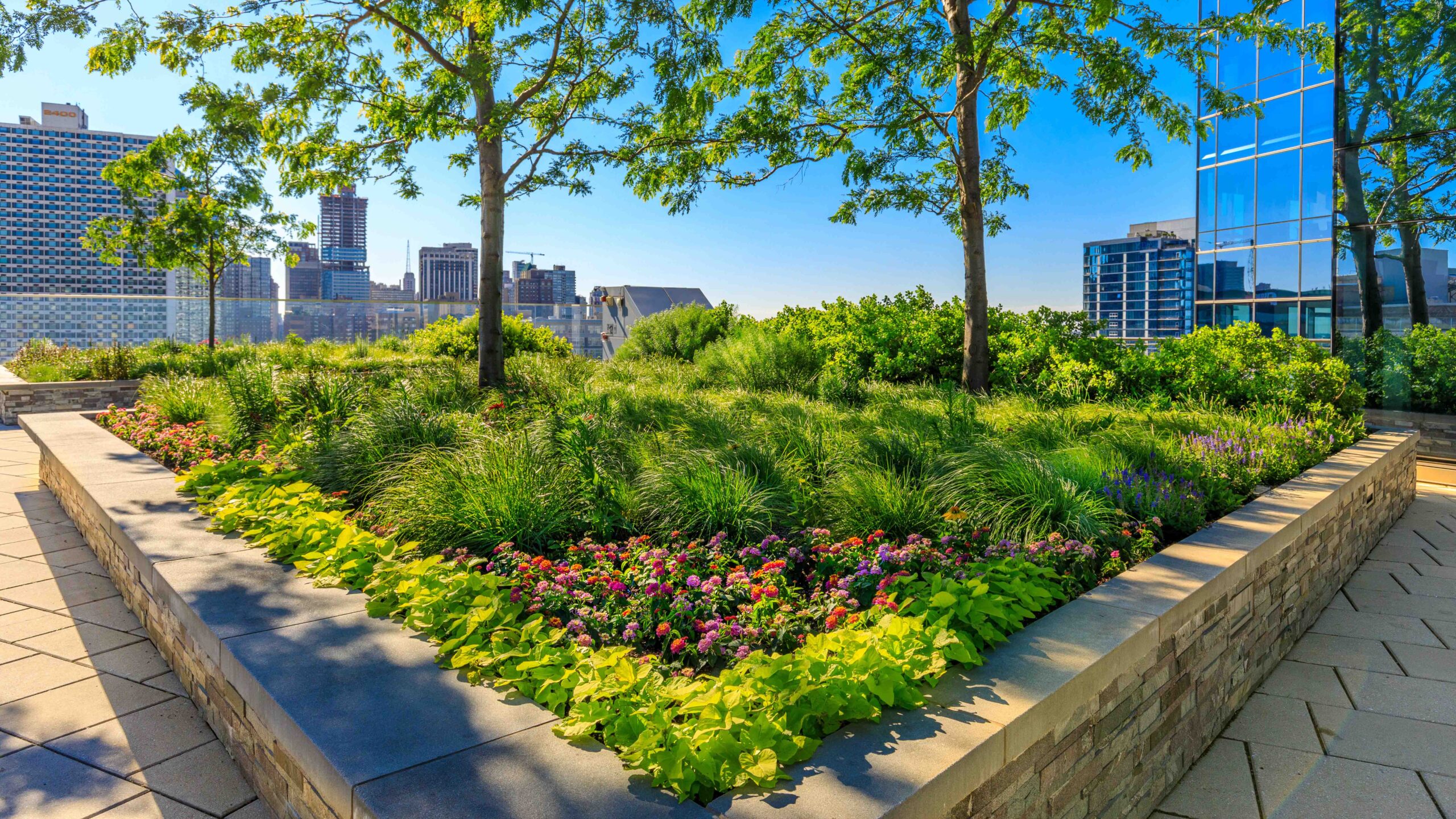 Professionally maintained commercial landscape with trees, shrubs, and seasonal flowers