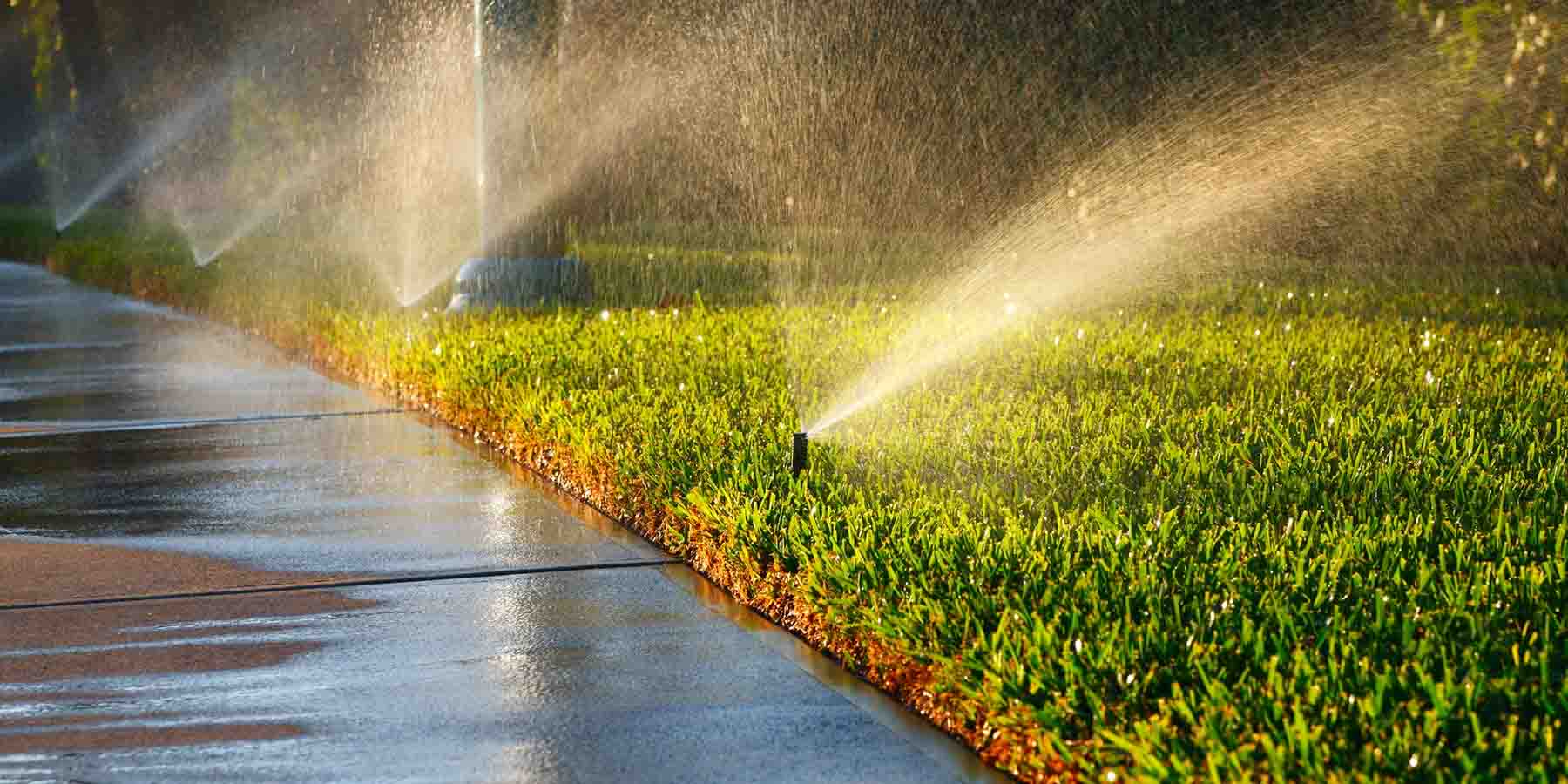 Lawn irrigation sprinklers watering grass along a sidewalk