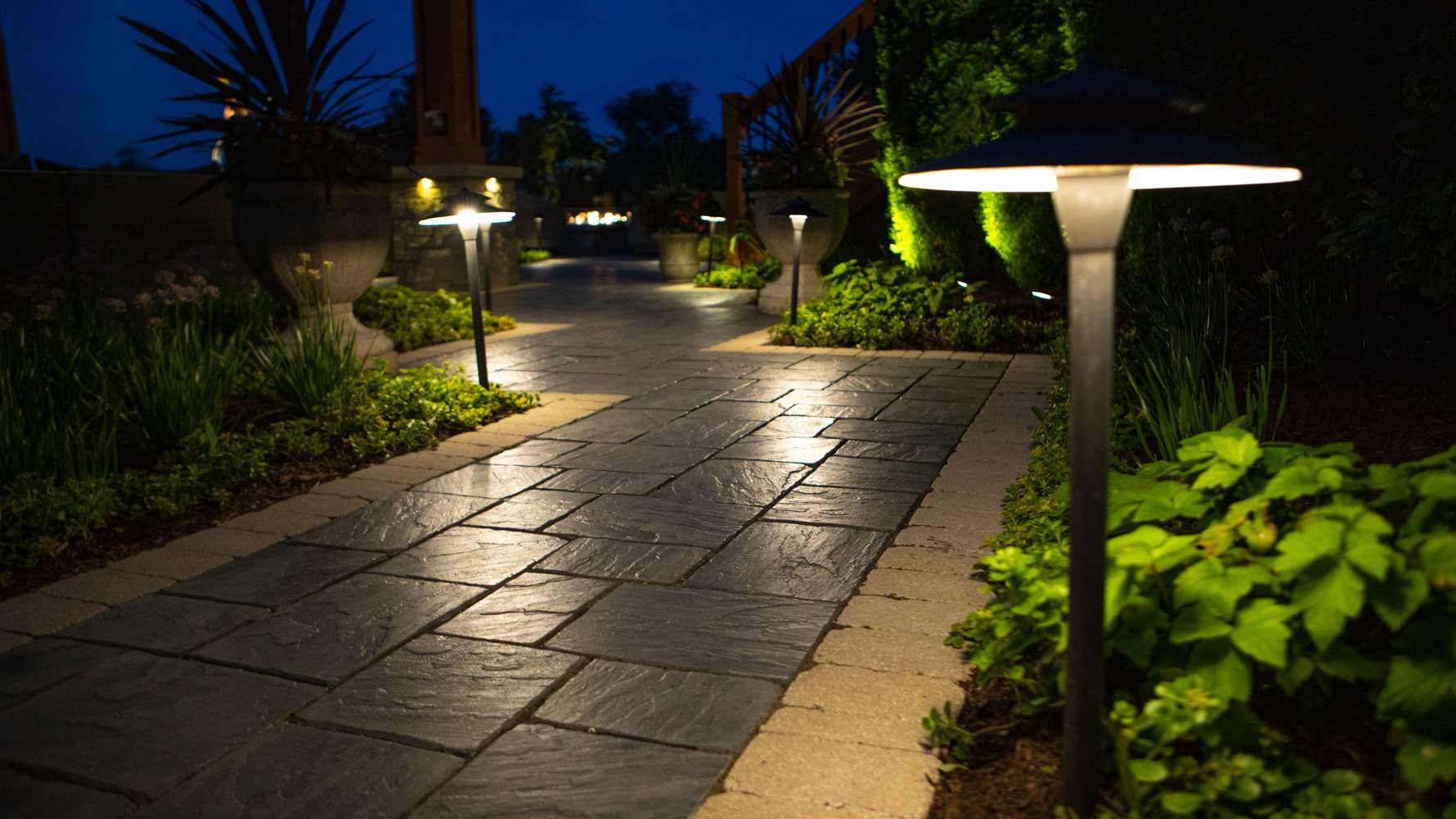 Stone walkway illuminated by modern landscape pathway lighting at night