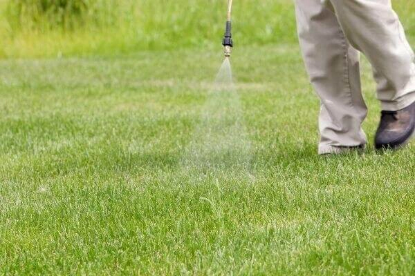 Professional lawn fertilization and weed control service - TruScape Lawn care technician applying fertilizer treatment to grass