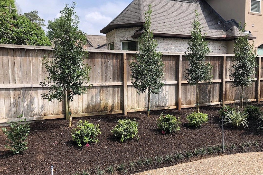 Residential plant and tree installation by TruScape - TruScape Newly planted trees and shrubs with fresh mulch in a residential yard