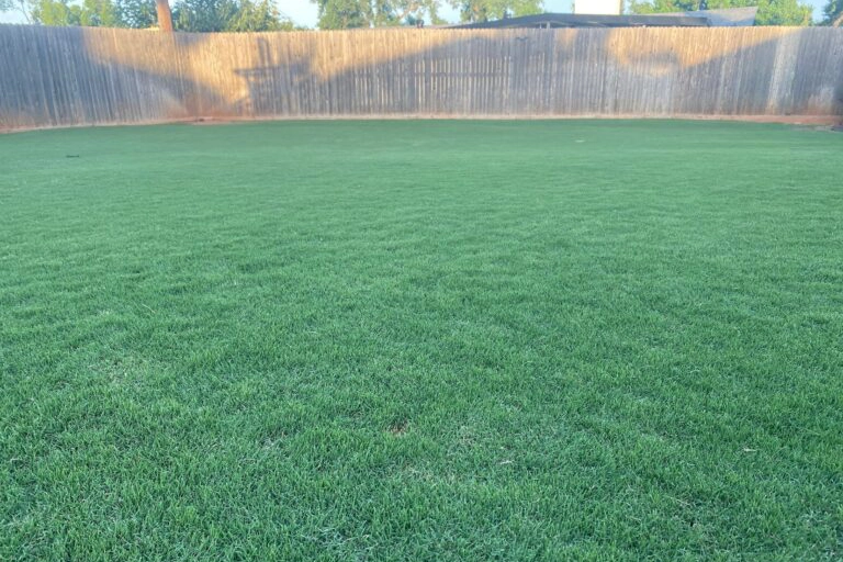 Evenly cut green lawn with thick, healthy grass coverage